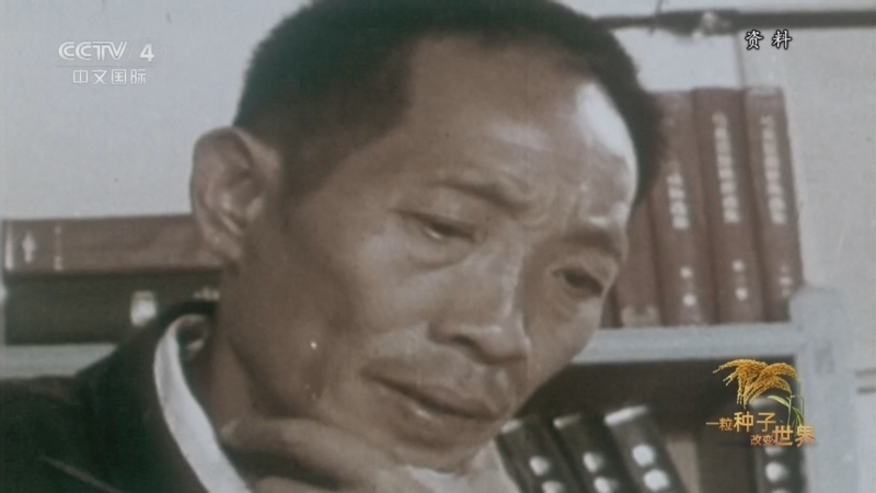 《一粒种子改变世界》 第2集 浸彼稻田