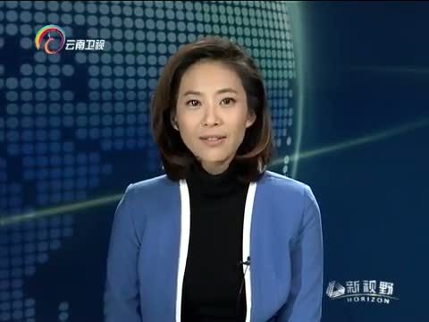 新视野 《新视野》 20150115