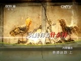 地理中国 《地理中国》 20160204 巷道迷踪（上）