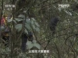 地理中国 《地理中国》 20160424 空中草原