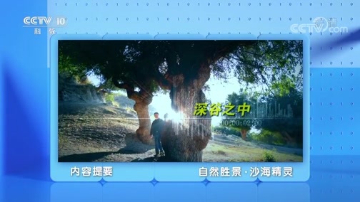 地理中国 《地理·中国》 20200110 自然胜景·沙海精灵