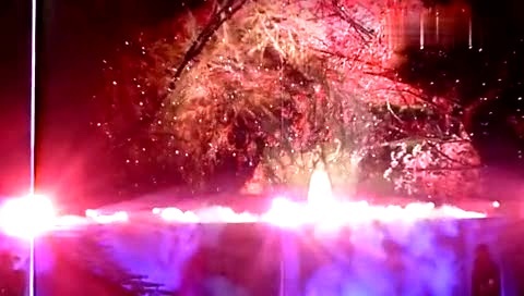 Taylor Swift Enchanted 曼彻斯特演唱会 饭拍版-Taylor Swift (泰勒·斯威夫特)