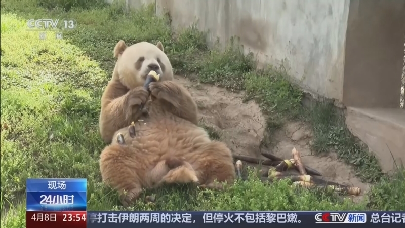 24小时 《24小时》 20260408