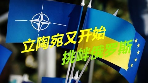 欧洲大国对俄态度反转，立陶宛却跳得更高了，挑衅俄罗斯的底线