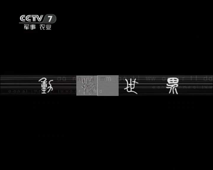 动物世界 测试《动物世界》 20120516 兄弟情（上）
