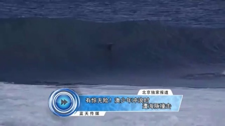 有惊无险 澳少年冲浪时遭海豚撞击 160930
