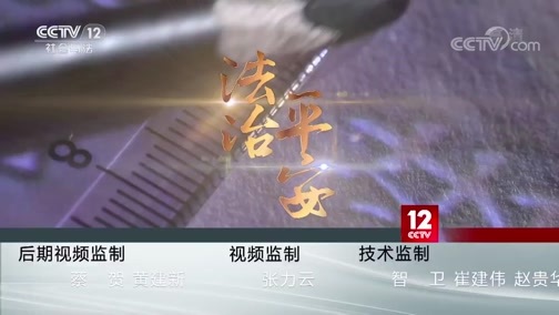 《平安中国2019》 20200225 揭秘“网络水军”