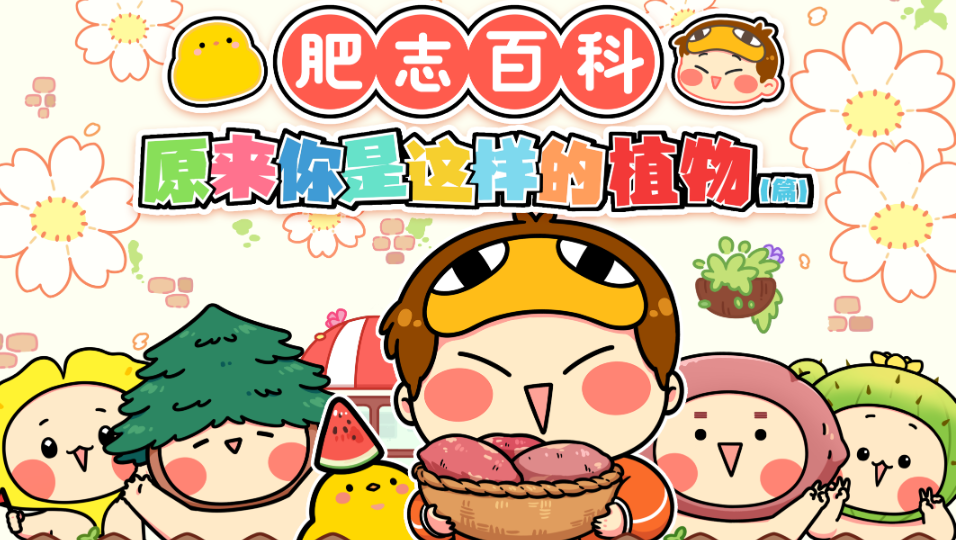 肥志百科