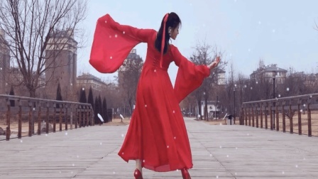 广场舞也能跳的如此美丽《快转发给老妈学》
