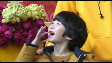 嘻嘻娱乐 2017 11月 张亮父子低调现身机场 天天