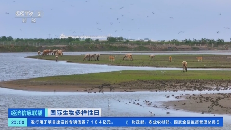 经济信息联播 《经济信息联播》 20240522
