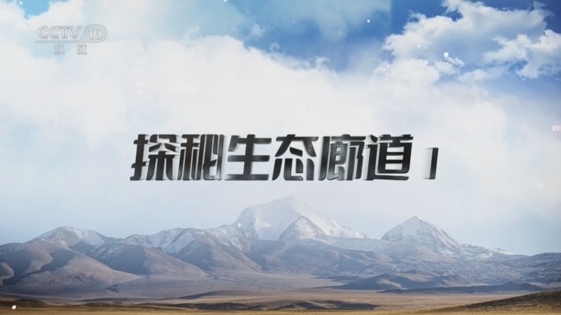 地理中国 《地理·中国》 20260518 探秘生态廊道1