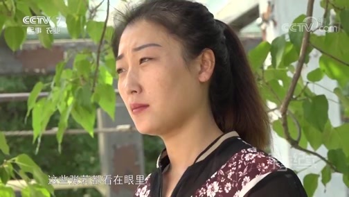 军事纪实 《军事纪实》 20190729 我家有个特种兵