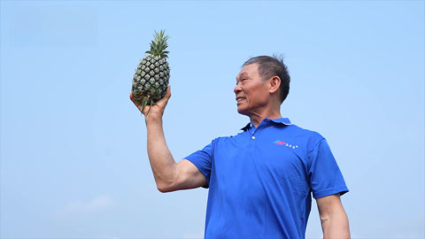 从罗布泊到菠萝海 共赴一场丰收之约