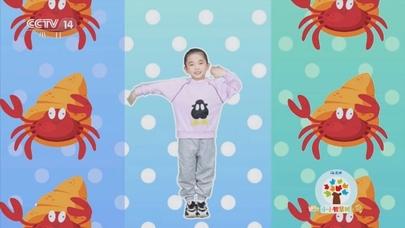 小小智慧树 《小小智慧树》 20231123