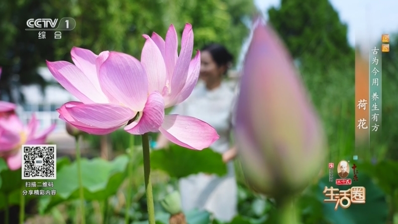 生活圈 《生活圈》 20260708