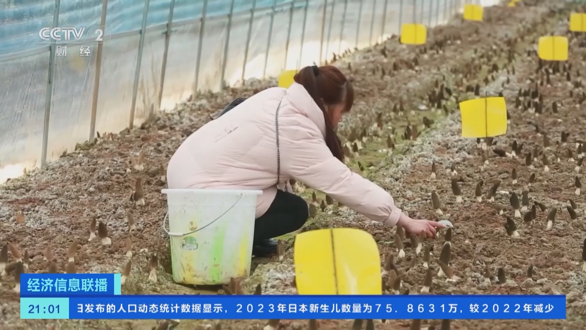 经济信息联播 《经济信息联播》 20240228