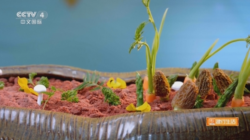 《中国美食大会》第二季 20260411