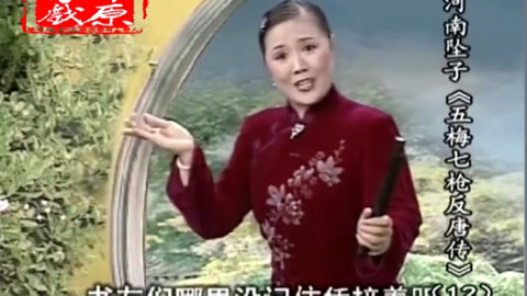 河南坠子 坠子《五梅七枪反唐传》