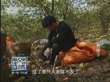 我爱发明 《我爱发明》 20140402 挤栗子