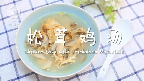 迷迭香 迷迭香: 松茸鸡汤