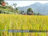 重庆新闻联播 《重庆新闻联播》 20171009