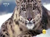 地理中国 《地理中国》 20180710 奇山异景·雪山谜城