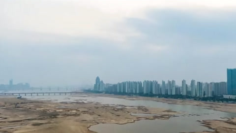 小强热线20210221