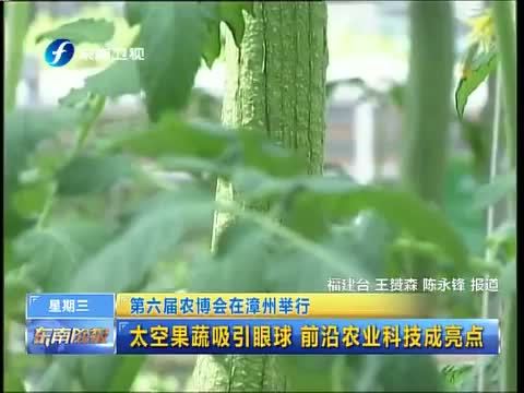 东南晚报 《东南晚报》 20141119