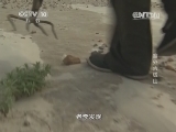 地理中国 《地理中国》 20140614 塞外大钱山