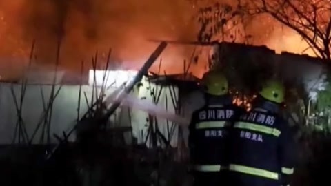 法治中国60分 民警火场逆行救出被困老人 奇异甲虫竟是保护动物