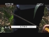 天网 《天网》 20140501 足下神功（三）