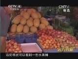 远方的家 《远方的家》 20140920 边疆行（67）塞外天府：伊宁