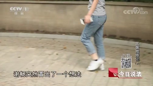 今日说法 《今日说法》 20191213 三张结婚证（上）