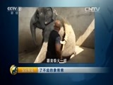 生财有道 《生财有道》 20150618 了不起的象爸爸