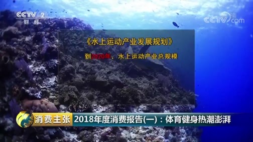 消费主张 《消费主张》 20181231 2018年度消费报告（一）：体育健身热潮澎湃