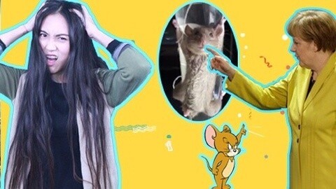囧闻一箩筐 奇葩新高度！大妈怒审老鼠