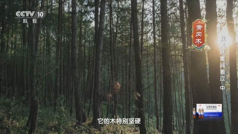 健康之路 《健康之路》 20240923 秋天就要润着过（中）