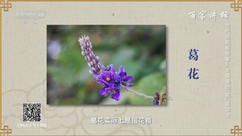 百家讲坛 《百家讲坛》 20240729 古代名医那些事儿 8 儒道合“医”葛仙翁