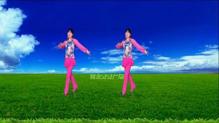 经典甜美DJ广场舞《小小新娘花》演示分解