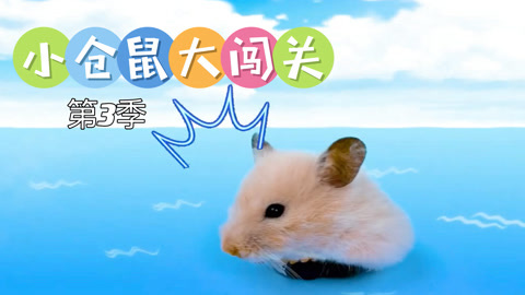 小仓鼠大闯关第3季