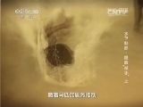 地理中国 《地理中国》 20140825 水下魅影-隐蔽“杀手”（上）