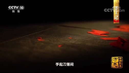 中国影像方志 《中国影像方志》 第252集 山西孝义篇