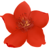 小红花音效助手