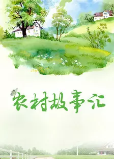 《农村故事汇》剧照海报