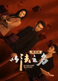 以法之名 解说版 海报