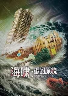 海啸：重回原貌 海报