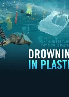 《塑料海洋》海报