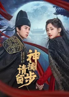 神捕请留步 海报