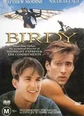 鸟人（1984） 海报